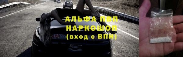 прущие грибы Горняк