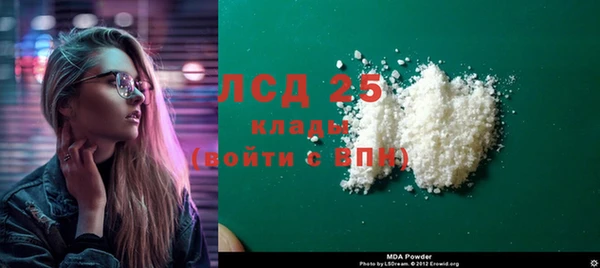 прущие грибы Горняк