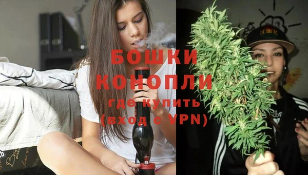 прущие грибы Горняк