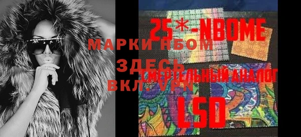 прущие грибы Горняк