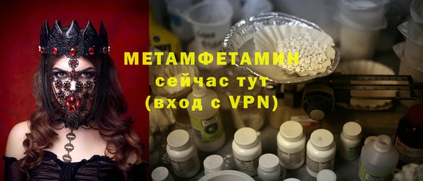 прущие грибы Горняк