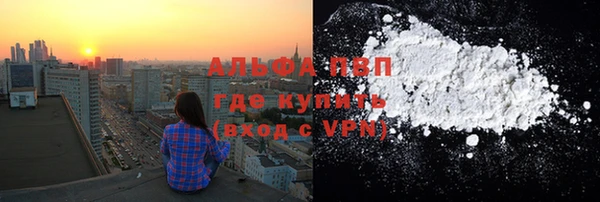 прущие грибы Горняк