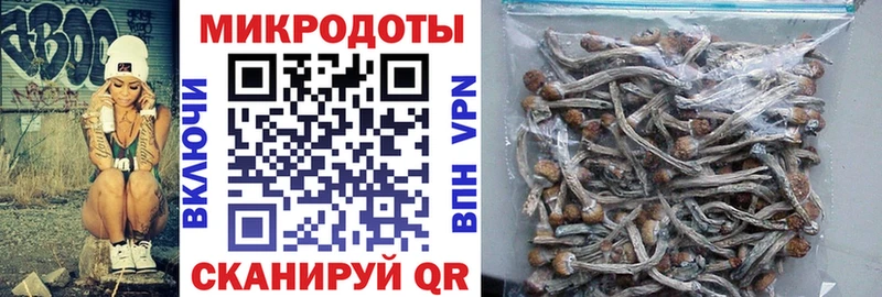 Галлюциногенные грибы прущие грибы  Купить закладки  Комсомольск 